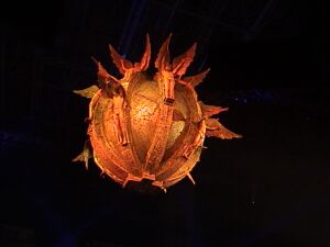 Eurovision 2006 Finali Özel Fotoları 
